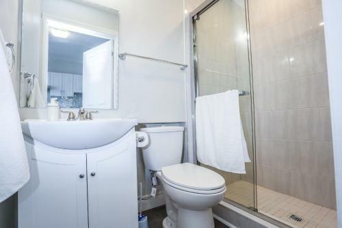 Cozy Apartments In Kitchener