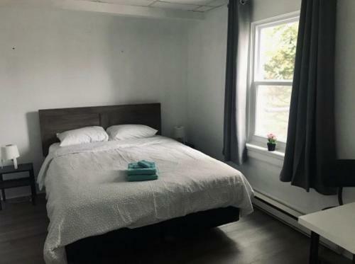 Apartamento Cozy Home Close To Kitchener Downtown