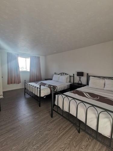Hotel Walk To Niagara Falls / New / Spacious Apartment