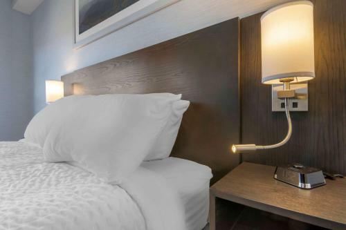 Hotel Quality Inn