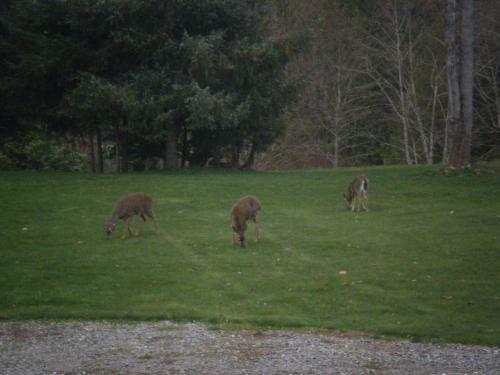 Villa Heron Place Country Cottage
