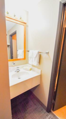 Hotel Canad Inns Destination Centre Portage La Prairie
