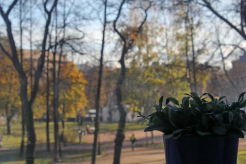 Mini Hotel Rada