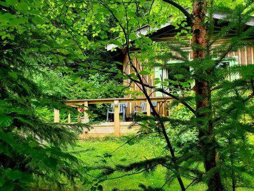 Lodge High Falls Motel & Cabins