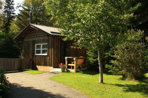 Lodge High Falls Motel & Cabins