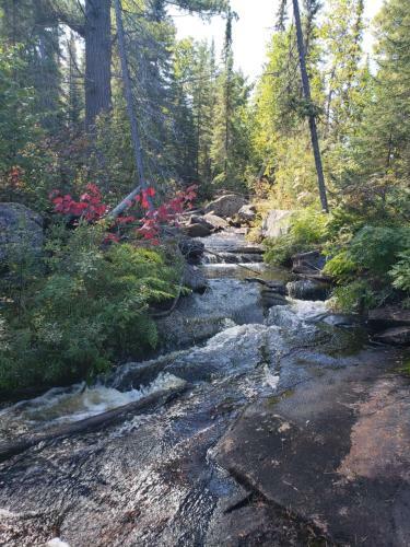 Lodge High Falls Motel & Cabins