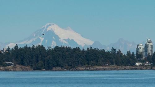 Apartamento Cozy Creekside 1 Bedroom Condo