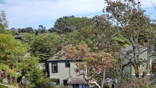 Hostal Sea Birds Cottage