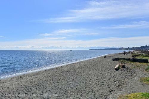 Arbutus Hill