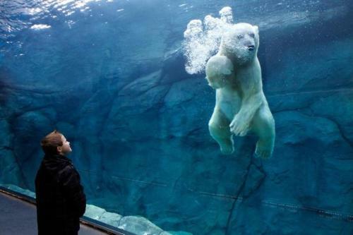 Apartamento Maryland Home By Nest Host