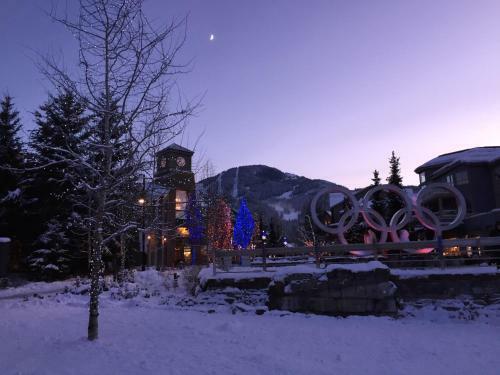 Apartamento #304 Deer Run, Blueberry