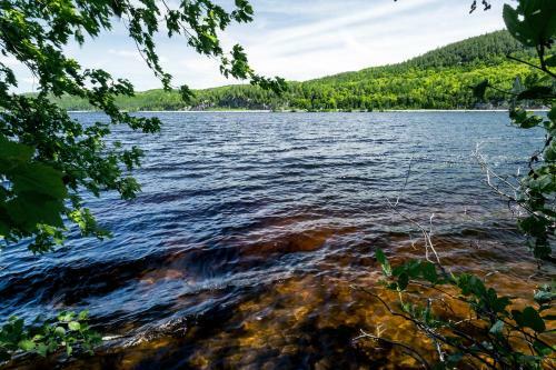 Bed & Breakfast La Maison Bellemare