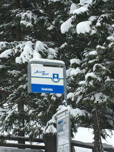 Apartamento I Dr Rehwiesa C31