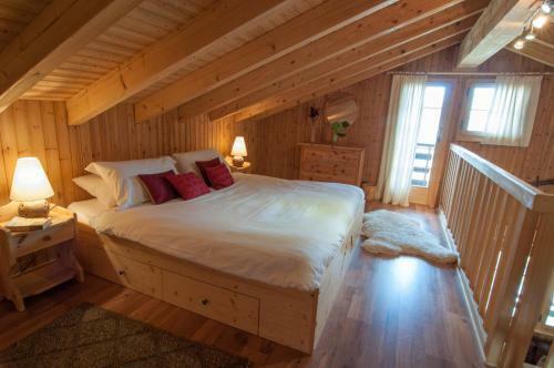 Chalet Lisa Ski-in, Ski-out Well Equipped