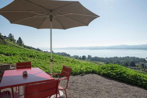 Apartamento Traumloft Mit Blick Auf Den Murtensee Und Die Alpen