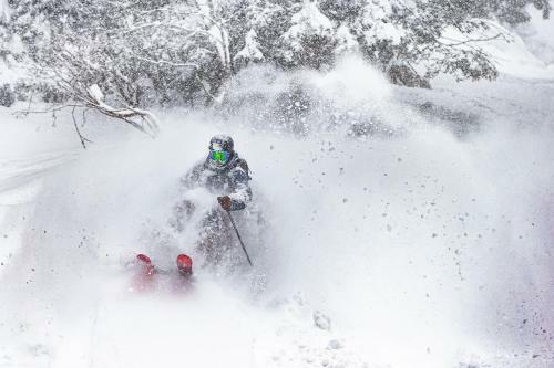 Apartamento Edelweiss Mountain Suites 02-05