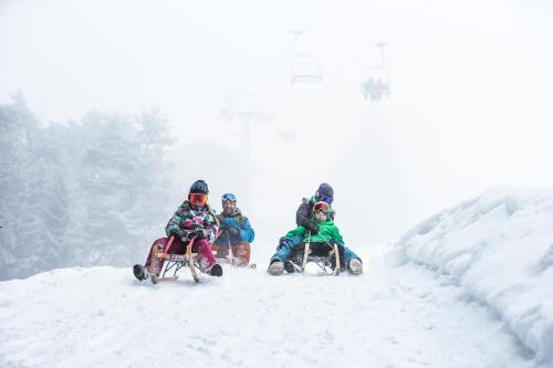 Apartamento Edelweiss Mountain Suites 02-05