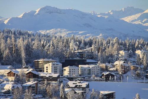 Apartamento Edelweiss Mountain Suites 02-05