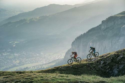 Apartamento Edelweiss Mountain Suites 02-05