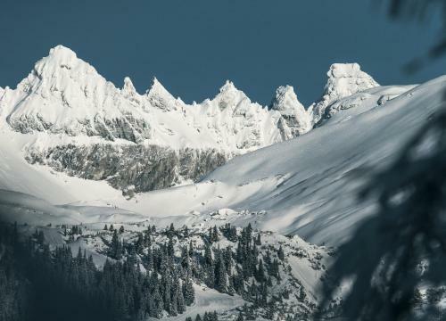 Apartamento Edelweiss Haus Collina