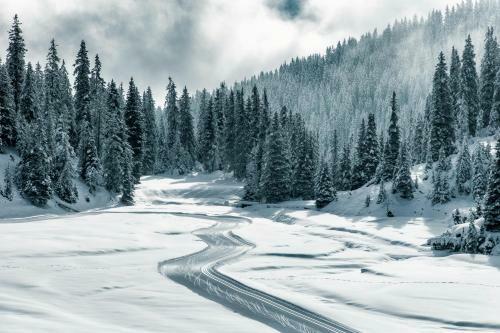 Apartamento Edelweiss Haus Collina