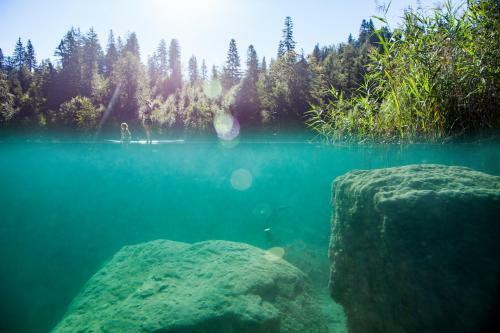 Apartamento Edelweiss Stenna Cavorgia