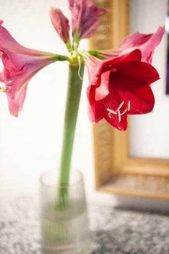 Albergue Room's Chez Beni