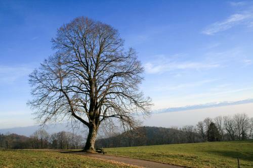 Hotel Genussgasthaus Tiefmatt