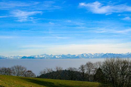 Hotel Genussgasthaus Tiefmatt