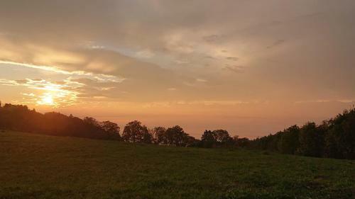 Hotel Genussgasthaus Tiefmatt