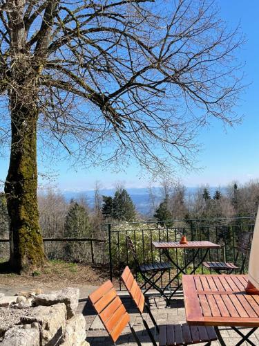 Hotel Genussgasthaus Tiefmatt