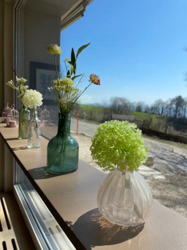 Hotel Genussgasthaus Tiefmatt