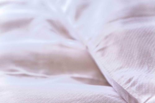 Apartment Seilersboden 3.5 - Griwa Rent Ag