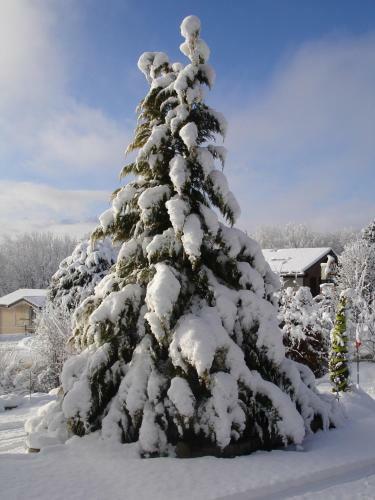 Apartamento Alpes - Valais - Au Chalet Les Roses