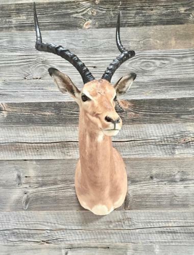 Apartamento Chalet Skyfall By Mrs Miggins