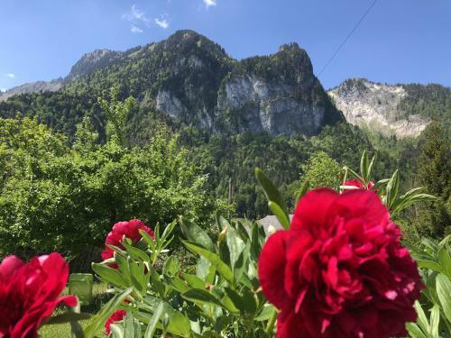 Apartamento Appartement Momentine
