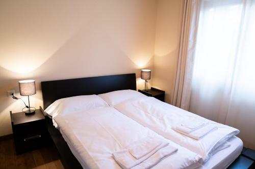Apartamento Chesa Seraina Abitaziun Seraina 4 - Sand - Madulain