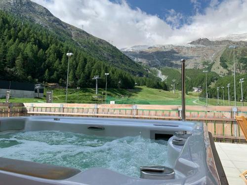 Palace Luxury Wellness Apartment Saas-fee
