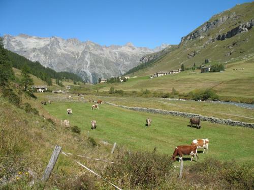Hotel Sonne Fex Alpine Hideaway