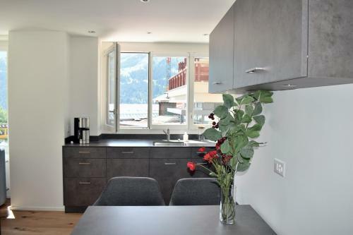 Apartamento Eigerpeak