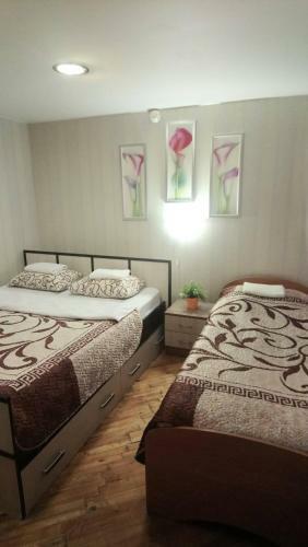 Albergue Advance Trio