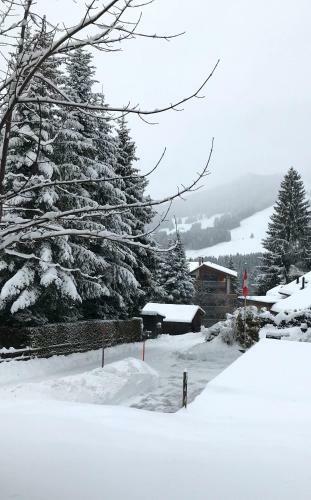Paccots: Chalet Pour 4 Personnes - Calme