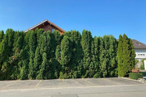 Apartamento Brulaire B�singen Am Hochrhein