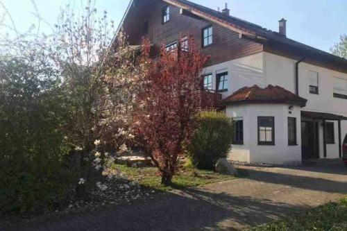 Apartamento Brulaire B�singen Am Hochrhein