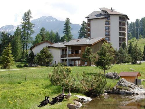 Apartment Montfort - Siv136