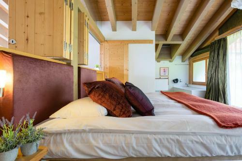 Luxury Spa Chalet With Jacuzzi And Sauna