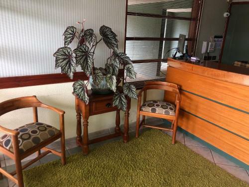 Apartamento Depto Premium Hermoso Y Acogedor