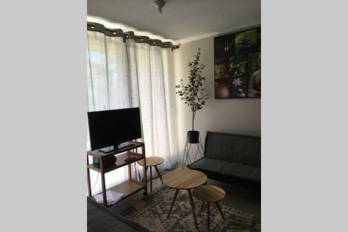 Apartamento Hogar Puc�n/terraza/piscina/quincho/estac/jardines