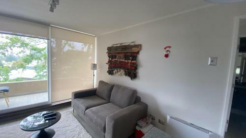 Apartamento Puc�n Central Lake