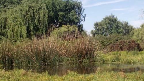 Apartamento Casas En Campo Con AA "caba�as La Emboscada"